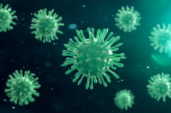 Wir führen auch Untersuchungen für HPV aus. Zu sehen ist ein abstraktes Bild mit Viren.